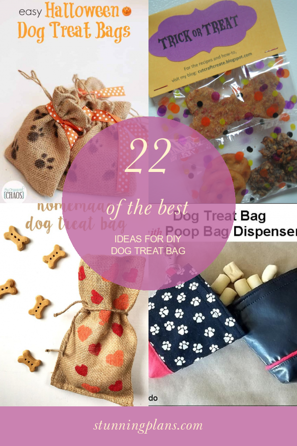 22 Of the Best Ideas for Diy Dog Treat Bag Home, Family, Style and
